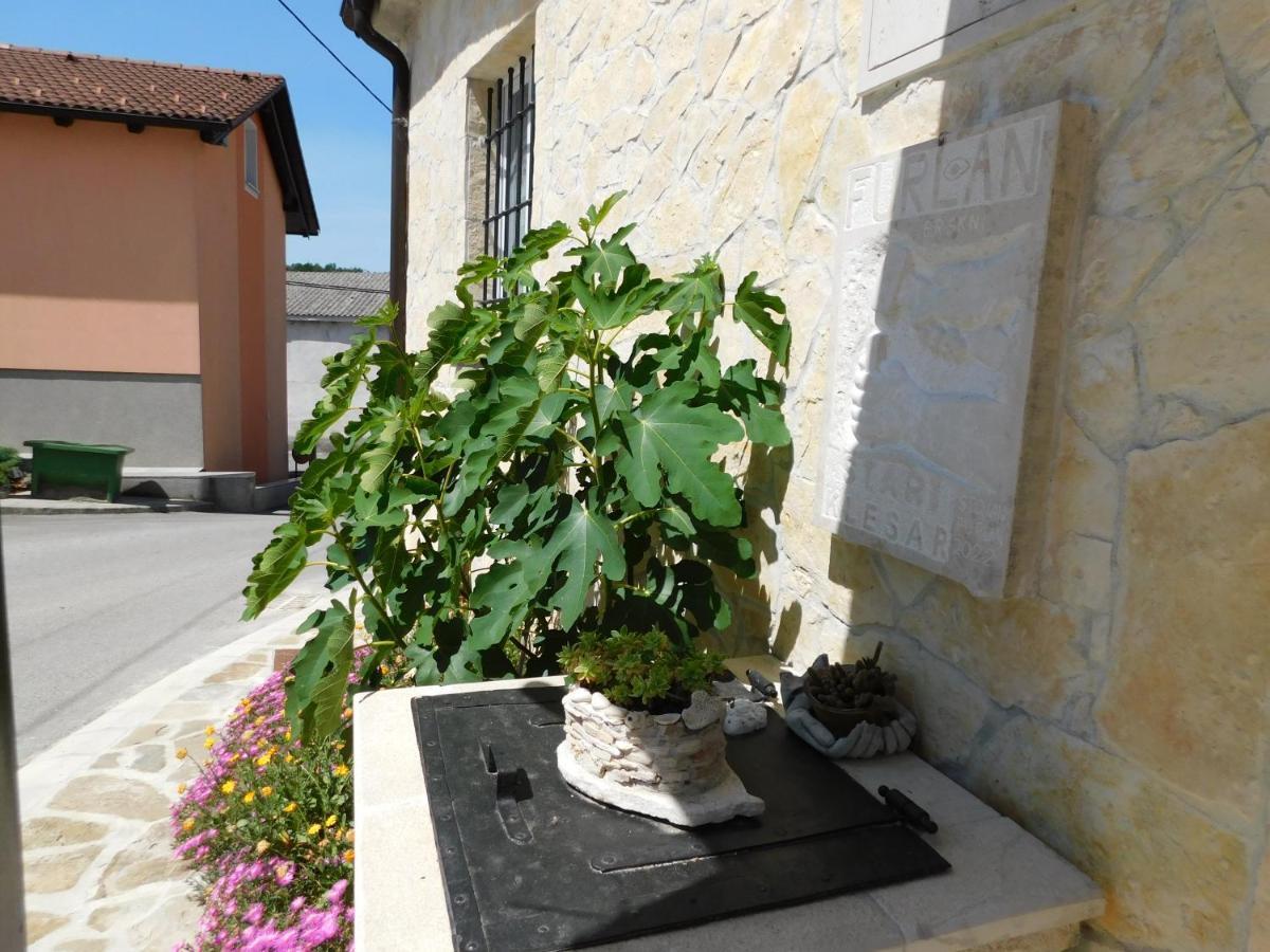 Kamnita Hisa Stari Klesar Villa Илирска Бистрица Екстериор снимка